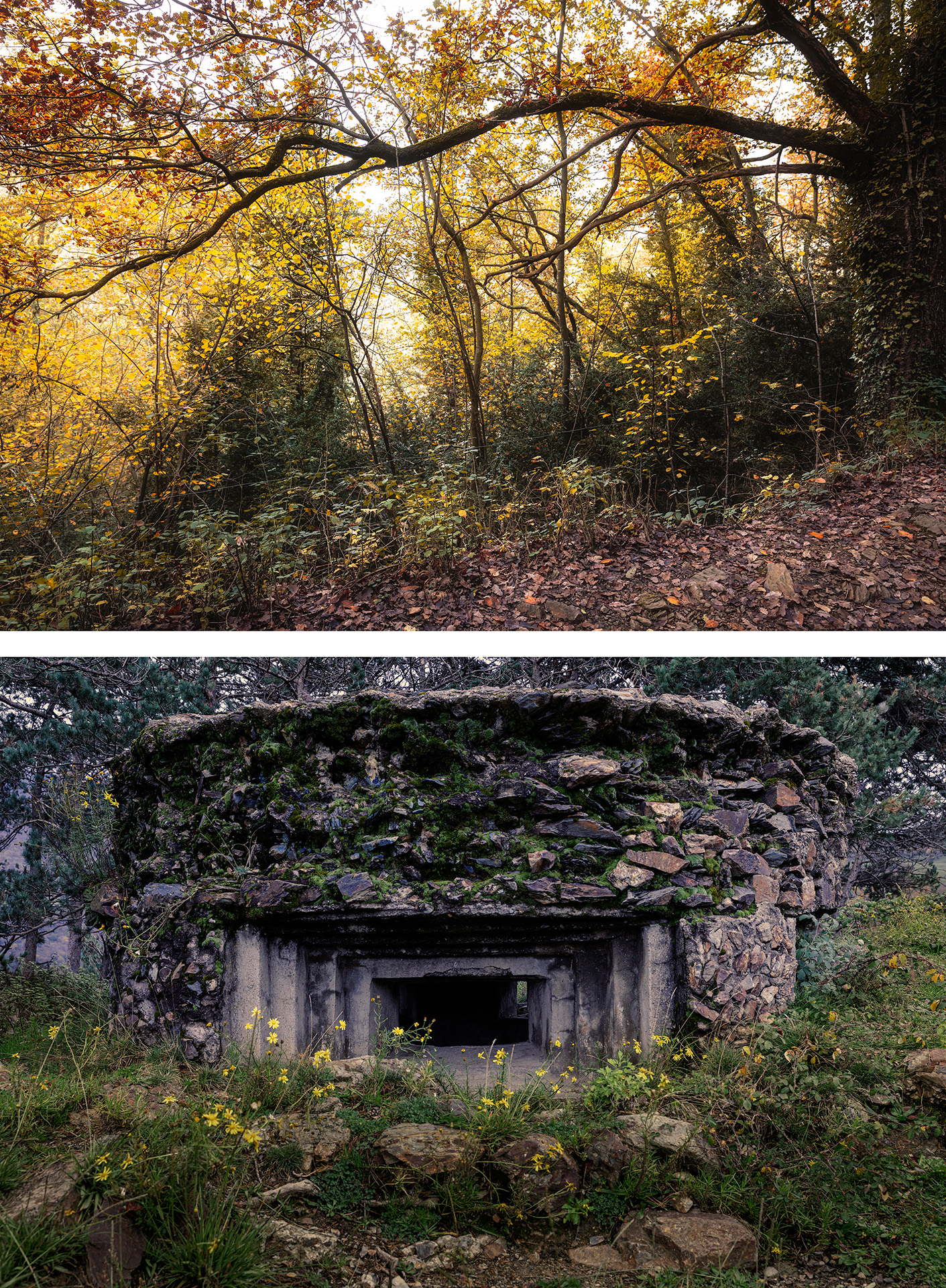 Díptico. Bunkker observatorio, Ribes de Freser, Girona. Fotografía: Manuel Santos Alguacil.